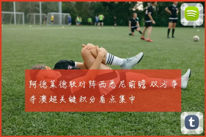 阿德莱德联对阵西悉尼前瞻 双方争夺澳超关键积分看点集中