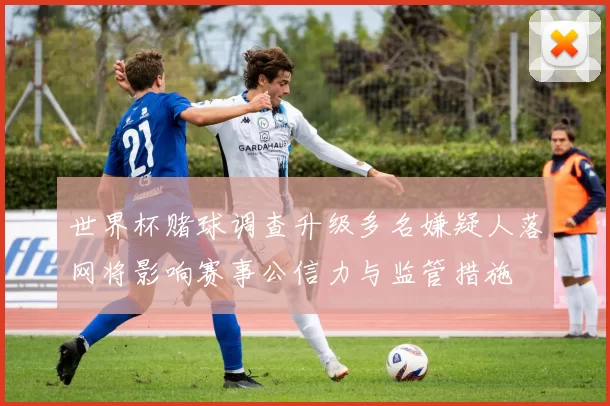 世界杯赌球调查升级多名嫌疑人落网将影响赛事公信力与监管措施