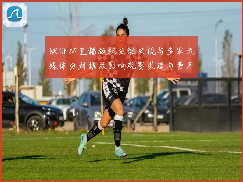 欧洲杯直播版权分配央视与多家流媒体分列播放影响观赛渠道与费用