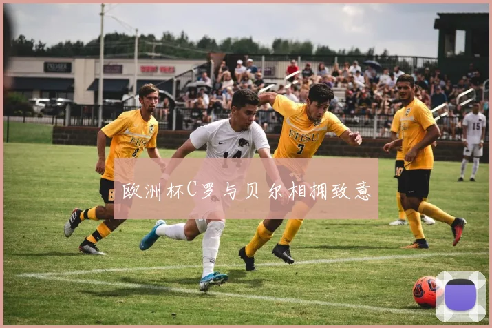 欧洲杯C罗与贝尔相拥致意