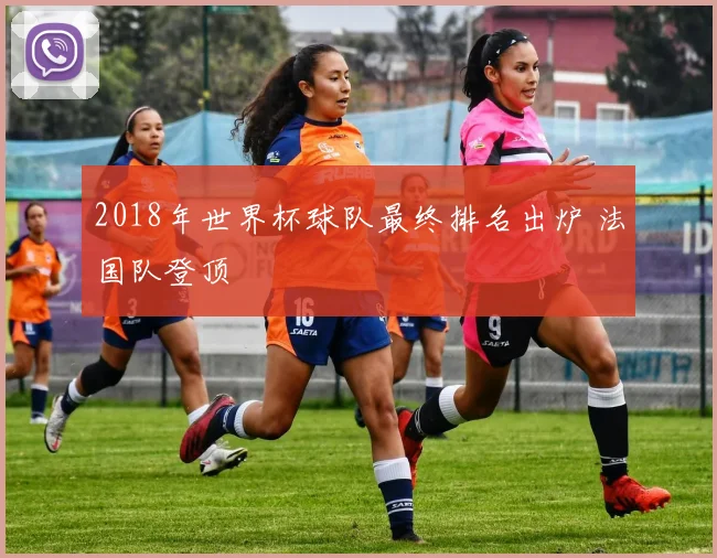 2018年世界杯球队最终排名出炉 法国队登顶