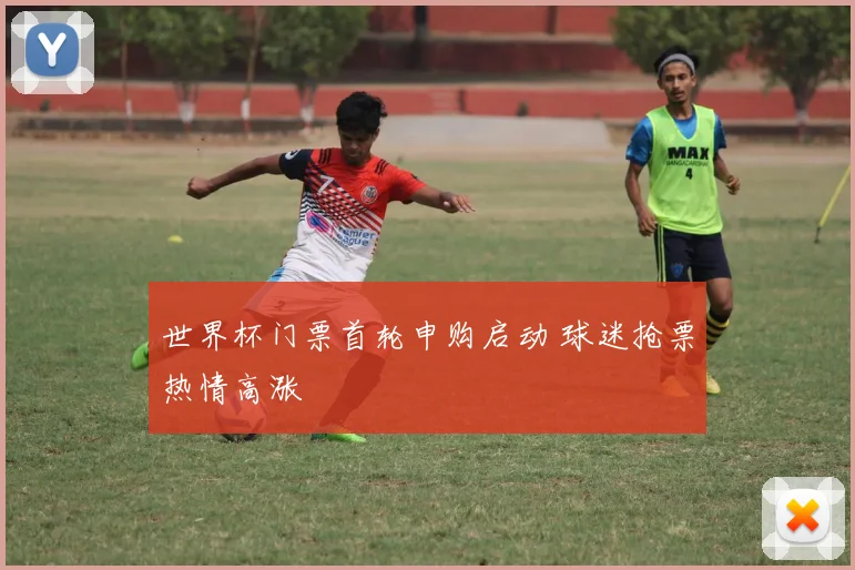世界杯门票首轮申购启动 球迷抢票热情高涨
