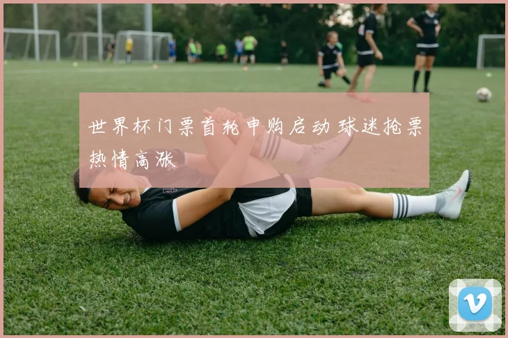 世界杯门票首轮申购启动 球迷抢票热情高涨